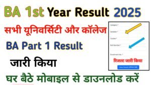 BA 1st Year Result 2025: (घोषित चेक करें) रोल नंबर से BA 1st Year Result 2025 डाउनलोड करें