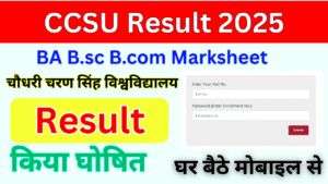 CCSU Result 2025, Out (result.ccsuniversityweb.in) check BA Bsc Bcom UG, PG Result Marksheet