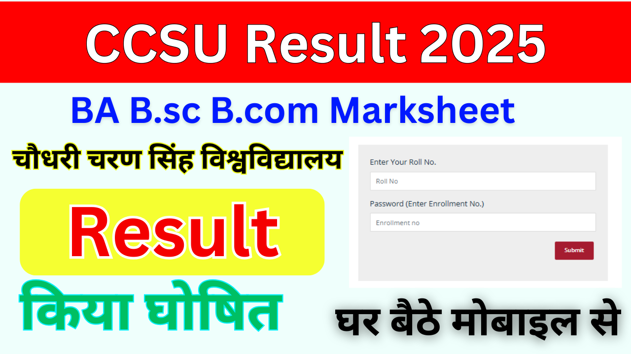 CCSU Result 2025, Out (result.ccsuniversityweb.in) check BA Bsc Bcom UG, PG Result Marksheet