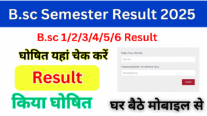Bsc Semester Result 2025, (BSc Semester Result) Bsc Result 2025 Download By Name Roll Number
