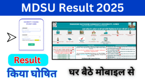 MDSU Result 2025, Check MDSU BA Part 1 Semester Result Released at mdsuexam.org, Marksheet